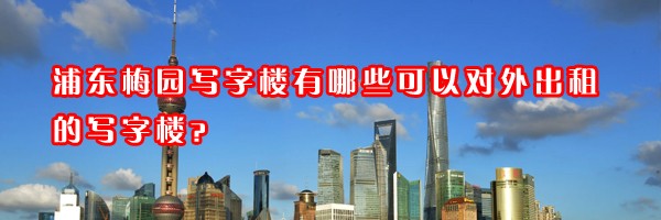 浦東梅園寫字樓有哪些可以對外出租的寫字樓？