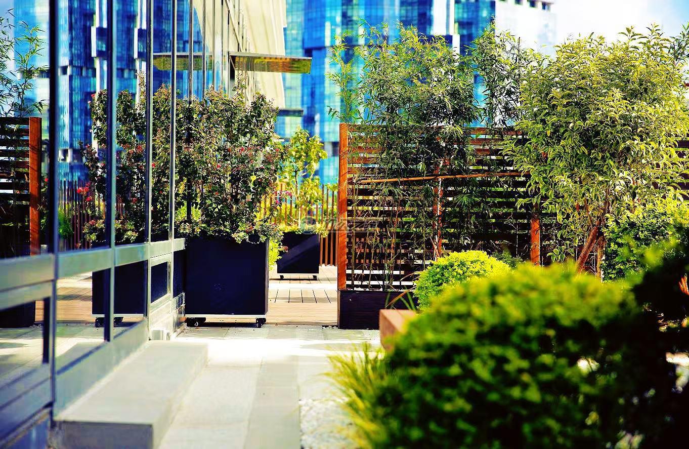 陆家嘴金融广场